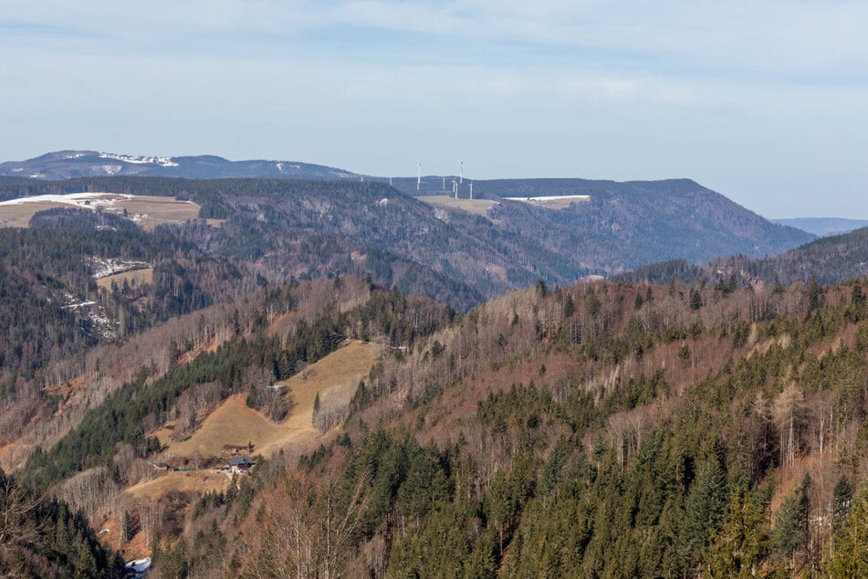 Schwarzwald pur: Blick auf Berge bei St. Märgen.