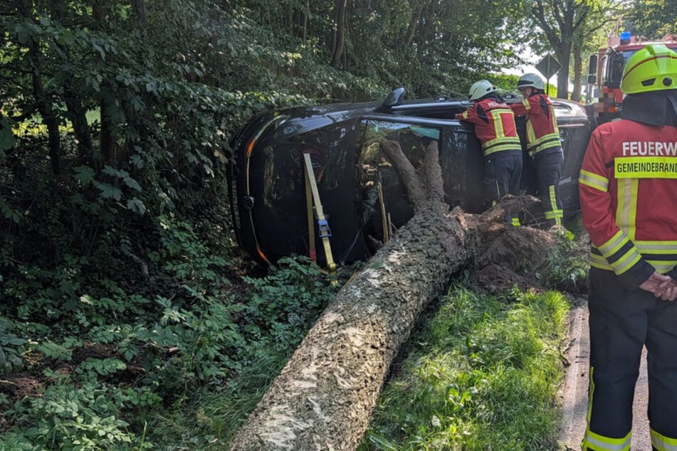 Golf kracht gegen Baum: Birke kippt um, Fahrerin im Auto eingeklemmt
