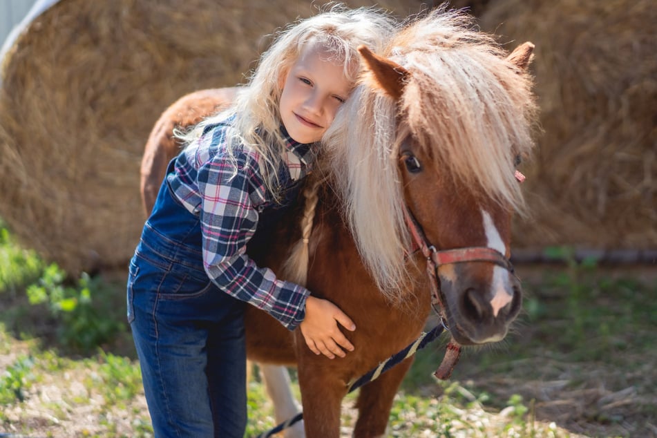 Eine Frau spendete das Pony ihrer Tochter an den Zoo. Sie bereut ihren Schritt nicht. (Symbolbild)