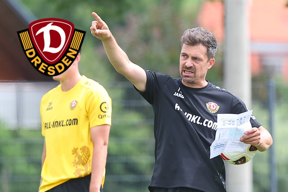 Neue Dynamo-Elf nimmt Formen an! Aber noch gibt es zwei echte Härtetests
