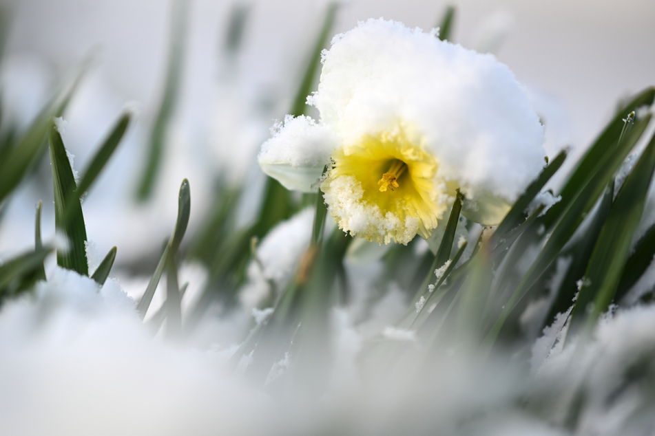 Brrr! Winterliche Aussichten: Schnee, Graupel und Glätte in NRW
