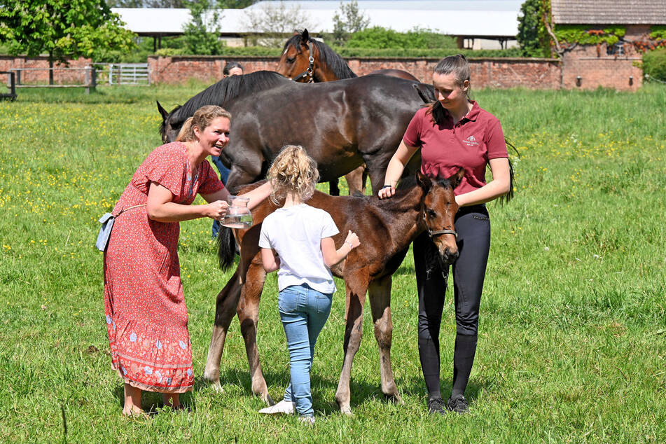 Fohlentaufe, Ponyreiten und Stallbesichtigungen standen auch auf dem Programm.