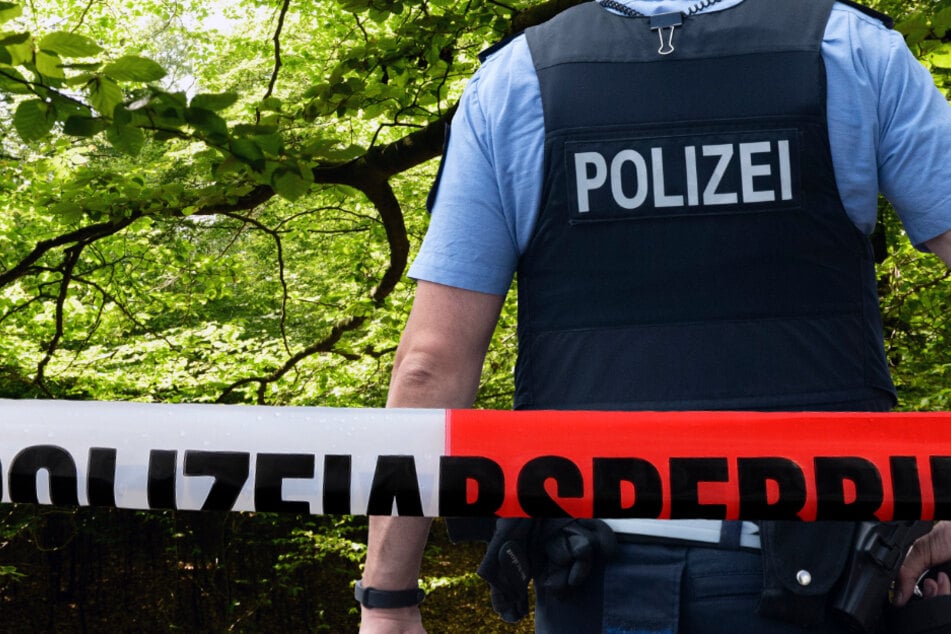 Das Flugzeug stürzte in ein Waldstück bei Hessisch Lichtenau (Symbolbild).