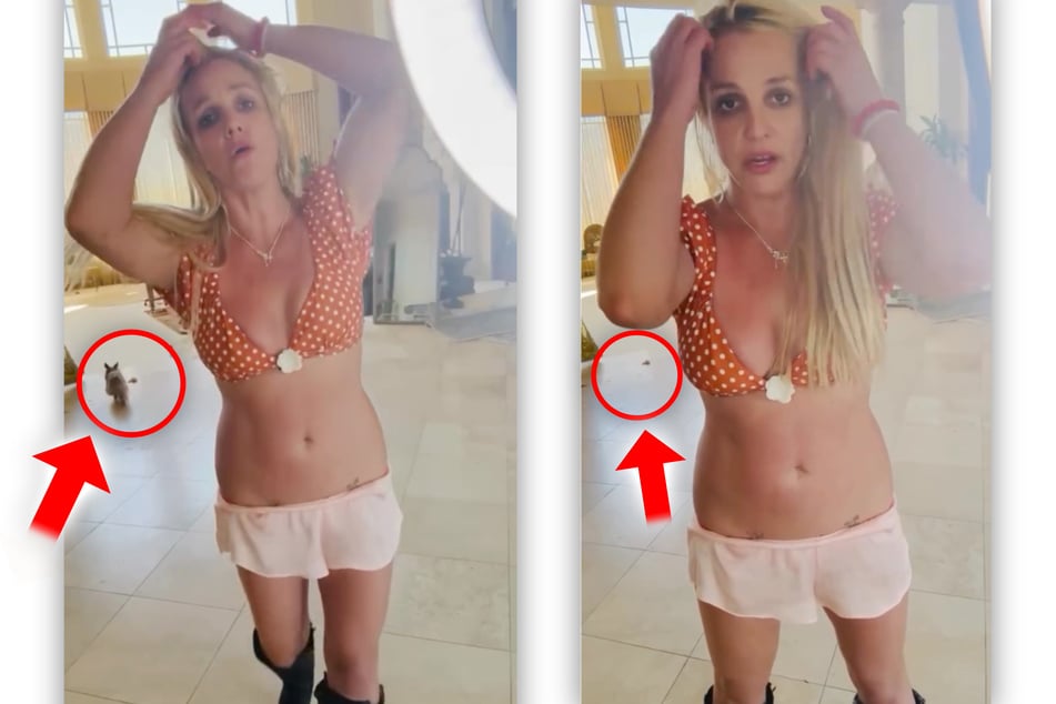 Volgens berichten maakt Britney Spears thuis geen opruimwerk – er zou zelfs hondenpoep in het huis liggen.