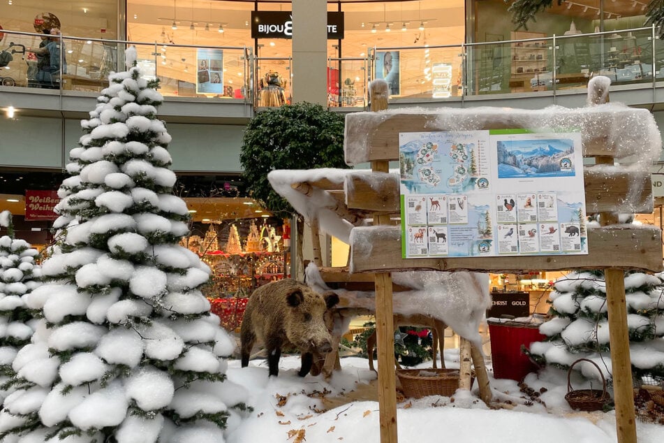 Bis zum 24. Dezember verwandelt sich das Allee-Center Leipzig in ein alpines Winterwunderland.