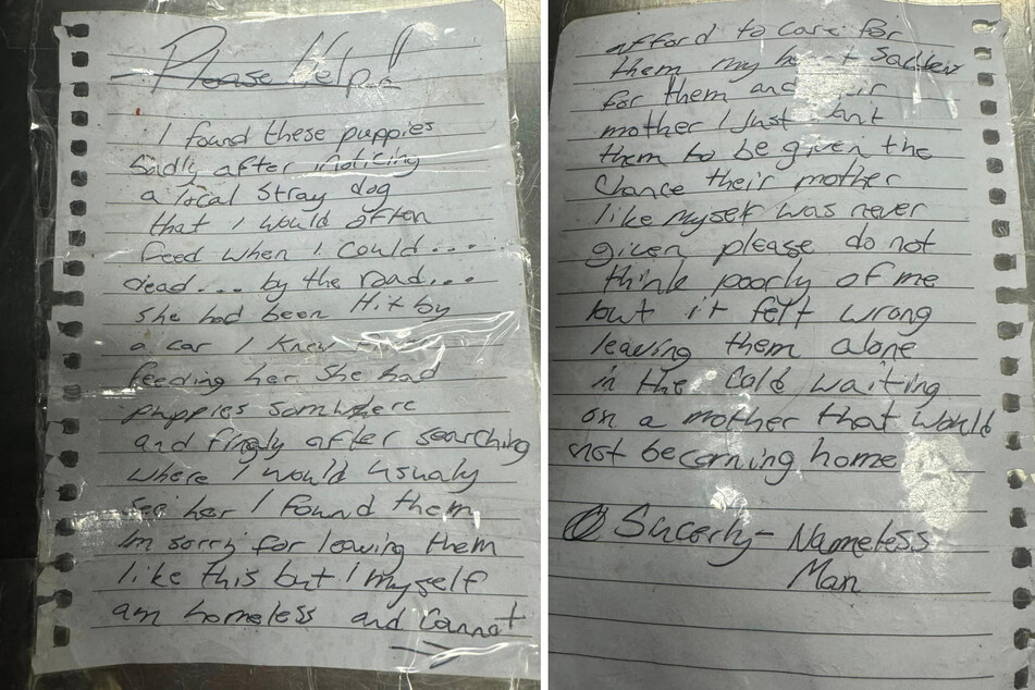 This two-page letter came with the litter of puppies found at the shelter.