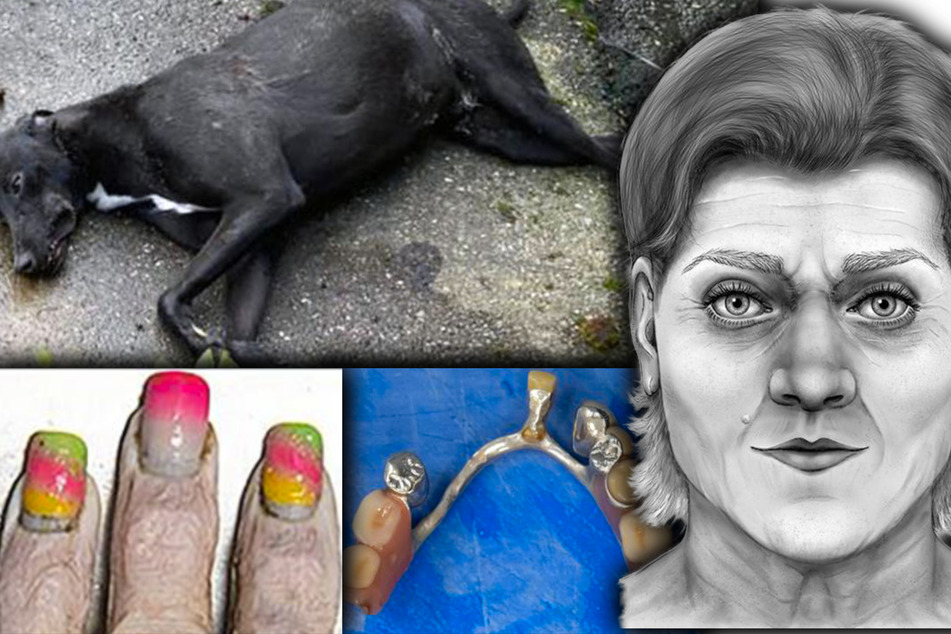 Aktenzeichen XY: Doppelter Schockfund: Nackte Frauenleiche in Kanal und Hundekadaver entdeckt