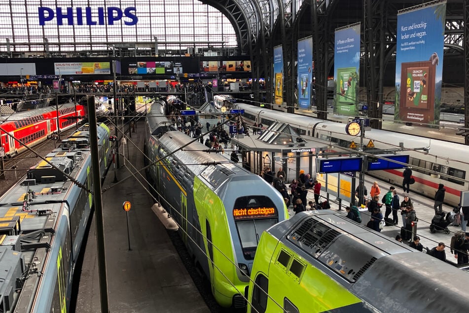 Der Hamburger Hauptbahnhof ist überlastet. (Archivbild)