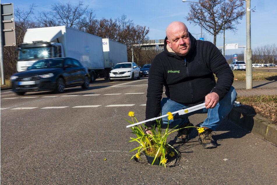 Den ersten Geburtstag des Schlaglochs feierte Pendler Torsten Pötschk (54) mit gelben Narzissen.