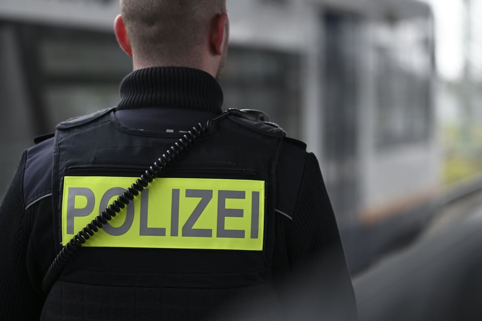 Die Bundespolizisten zögerten keine Sekunde, schafften die Katzen aus der Kälte und nahmen sie mit auf die warme Wache. (Symbolbild)