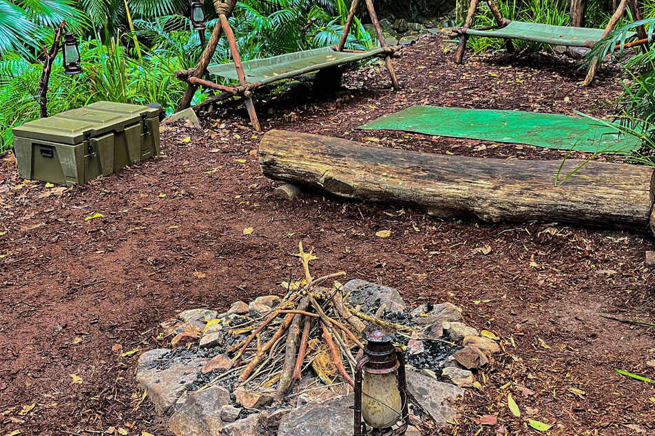 Im RTL-Dschungelcamp müssen die Teilnehmer für zwei Wochen auf (fast) jeden Luxus verzichten.