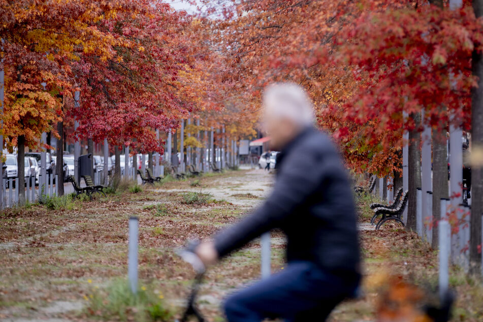 Der Oktober endet in den meisten Teilen Deutschlands nochmal mit herbstlichen Temperaturen von bis zu 19 Grad.