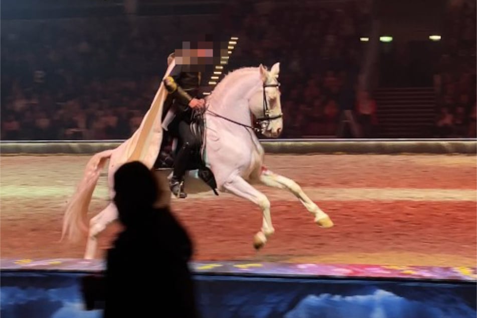 PETA kritisiert unter anderem, dass die Tiere in eine einschränkende Position gezwungen werden.