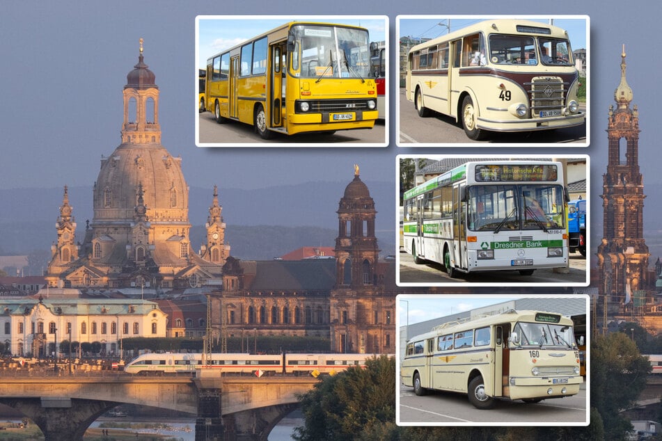 Oldtimer-Feeling in Dresden: Diese Prachtstücke fahren Euch bald durch die Stadt