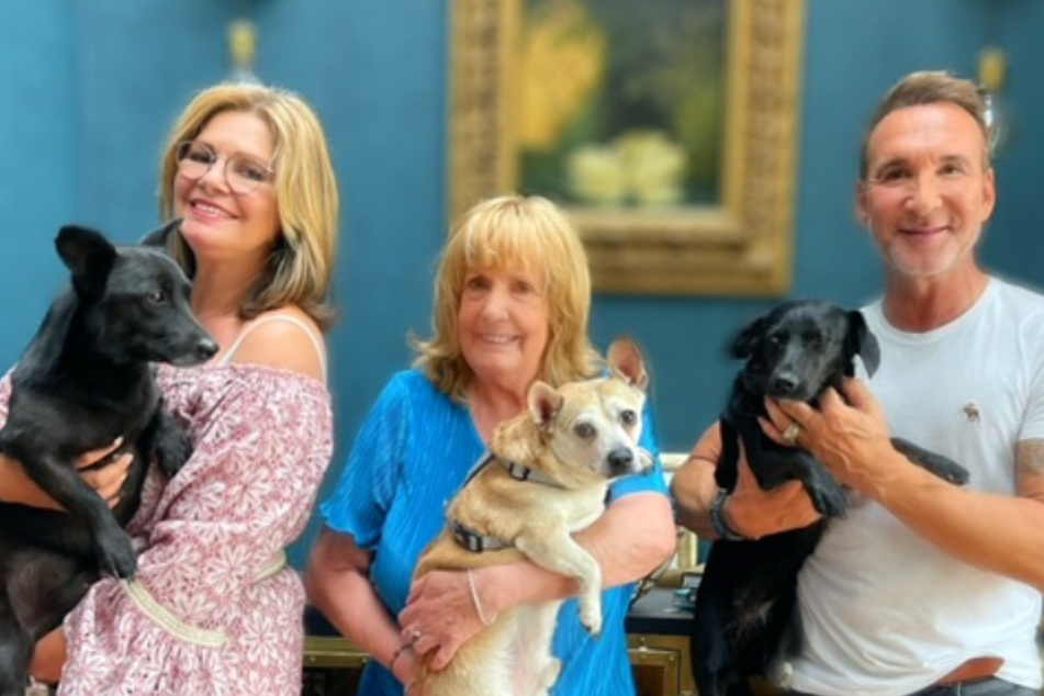 Maren Gilzer (62, v.l.n.r.) mit ihrem Hund Bobby, ihre Mutter Helga (83) mit Neuzugang Edgar und Jochen Bendel (54) mit Hündin Ebby.