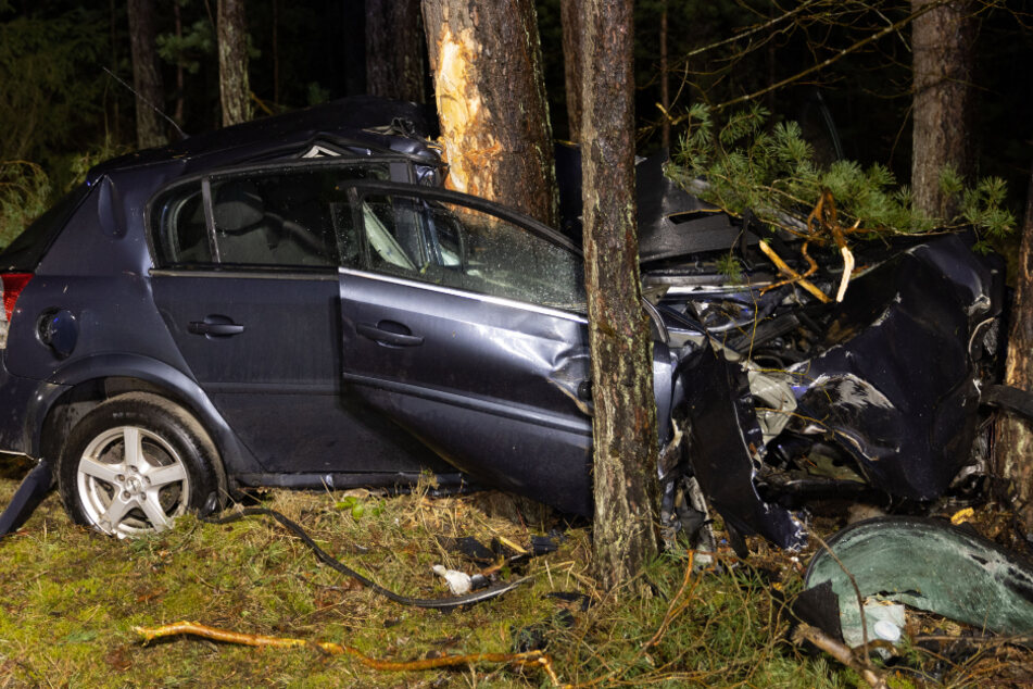 Tödlicher Unfall in Bayern: Mann entdeckt Fahrzeugwrack in Wald