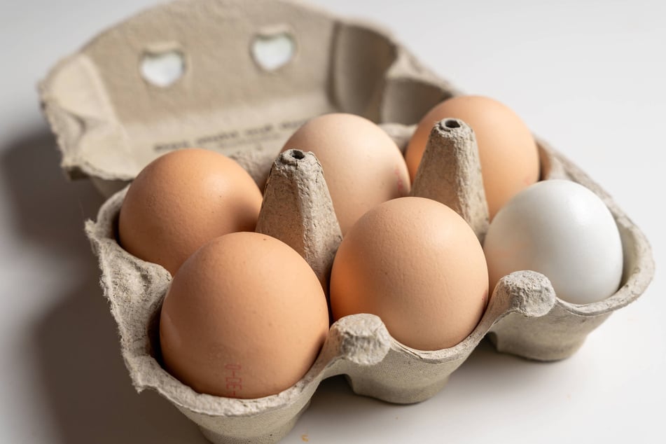 Schon in den vergangenen Monaten kam es wegen der Vogelgrippe zu Eier-Ausfällen in der Legehennenhaltung.