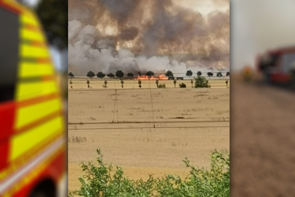 Auf einem Feld bei Mockrehna ist es am Montag zu einem mehrere Hektar weiten Feldbrand gekommen.