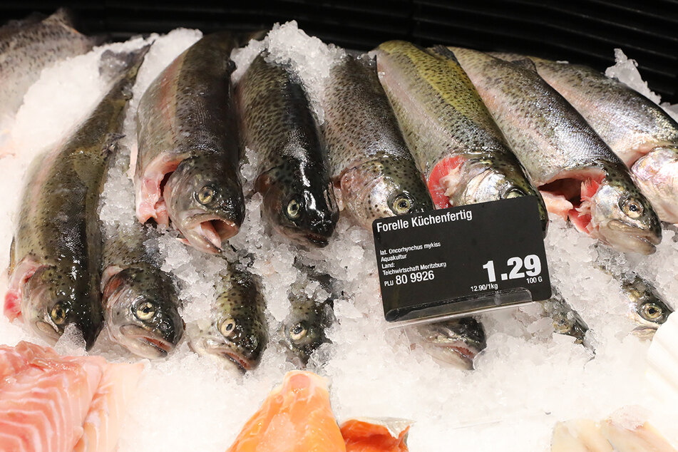 Täglich gibt's frischen Fisch.