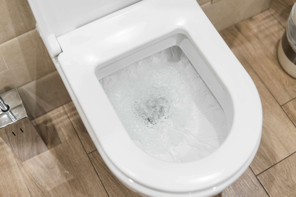 Was viele nicht wissen: DAS darf auf keinen Fall im WC entsorgt werden!