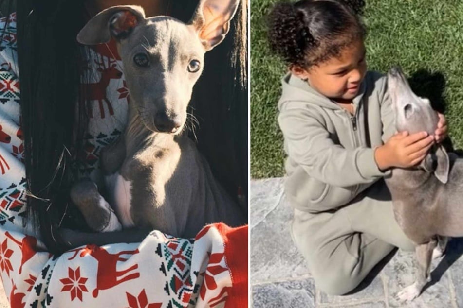 Kylie Jenner ended the post by expressing gratitude that her kids got the opportunity to know and love the doggo as well.