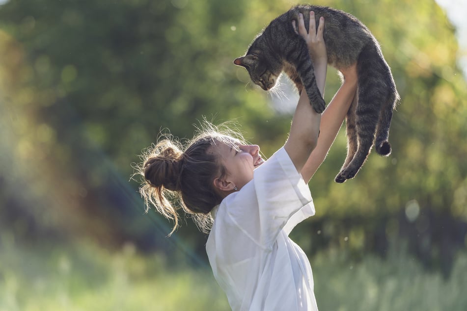 If your cat loves you, it'll almost certainly show you subtle signs and symptoms of that affection.