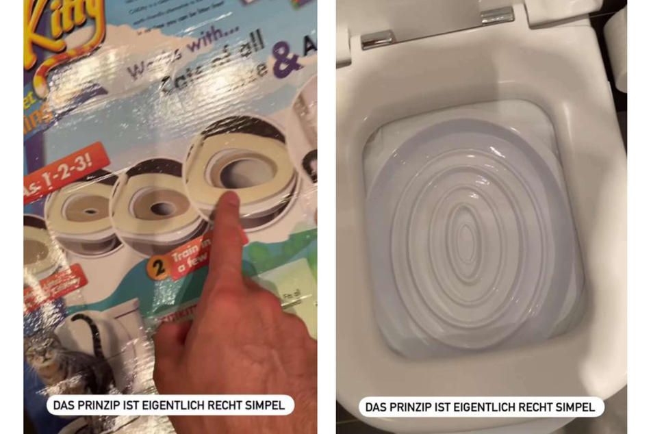 Niko Griesert erklärte seinen Instagram-Fans am Donnerstag, wie das Katzen-Toiletten-Training funktioniert.