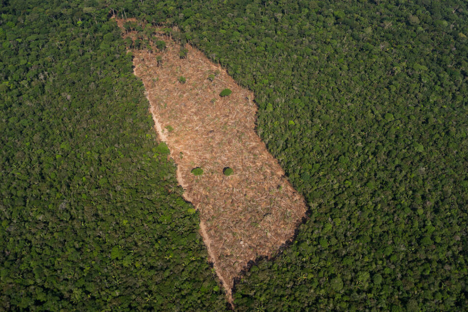 Blick auf ein abgeholztes Waldstück in der Mitte eines Waldgebietes im Amazonasgebiet.