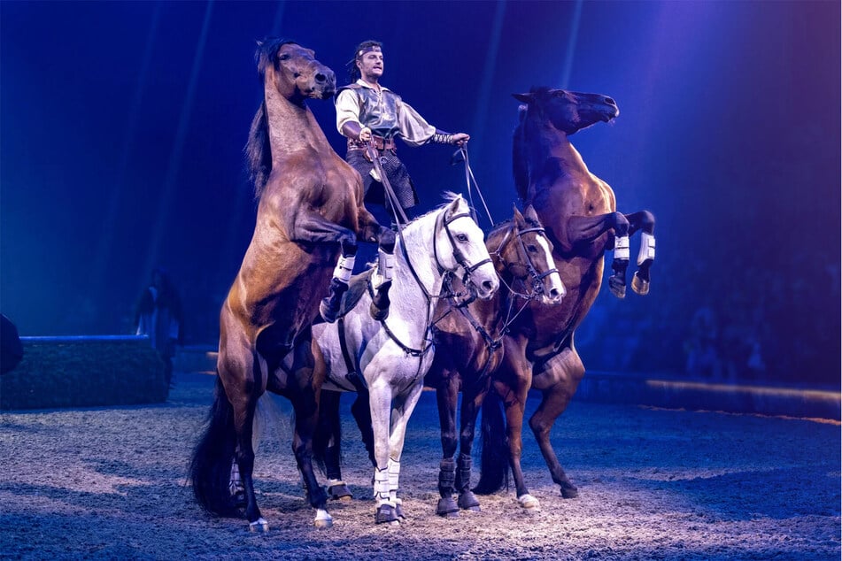 Cavalluna bestreitet die Vorwürfe der Tierquälerei und betont, dass das Wohl der Tiere oberste Priorität hat.