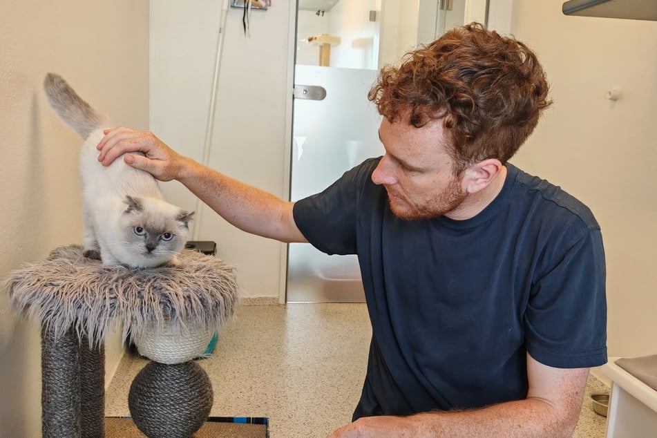 Vinzenz Huber, Leiter des Katzenhauses im Münchner Tierheim, mit Kuku.