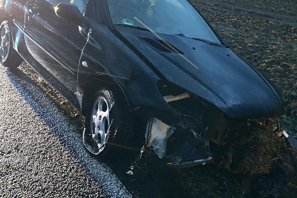 Sturmböe fällt Baum - und Peugeot rast hinein!