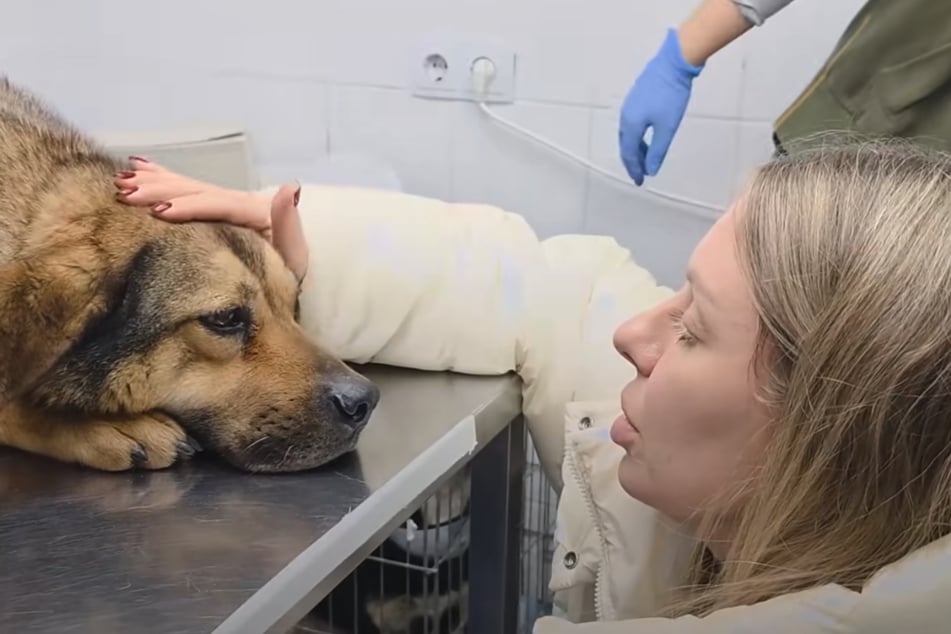 Brzy se bude kožichatému lépe dařit.