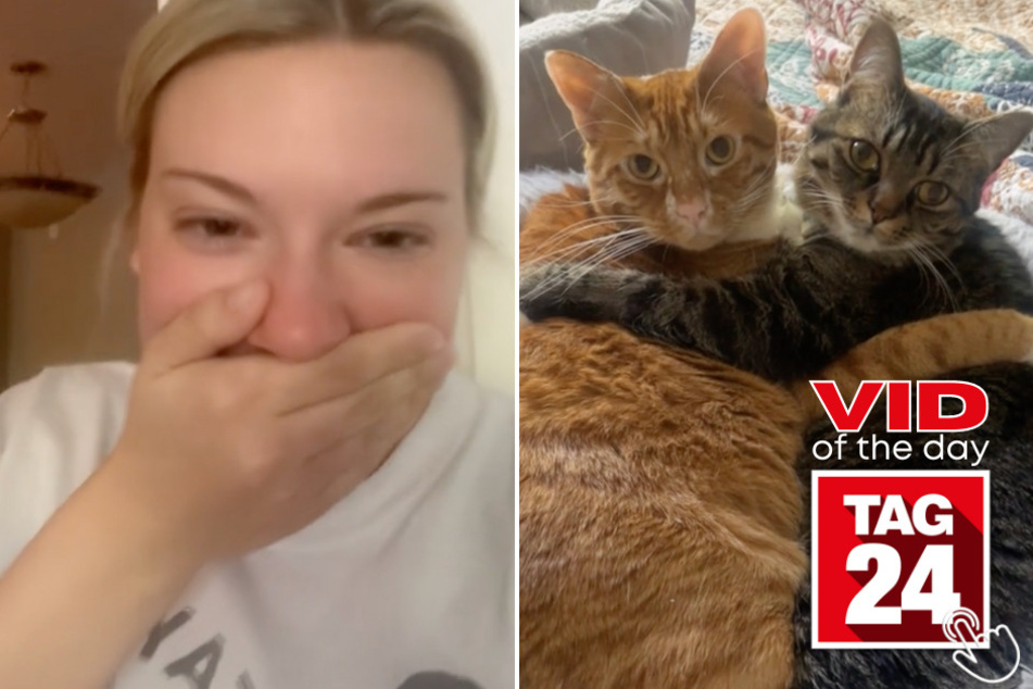 Today's Viral Video of the Day features a moment this cat mama will remember for the rest of her life!