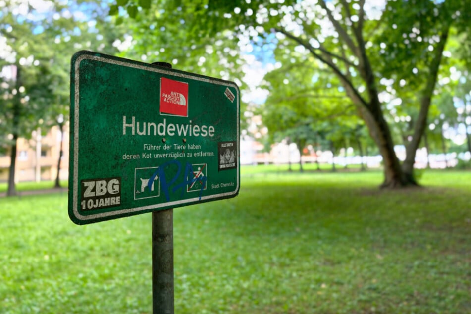 Die Hundewiese an den Schloßteichanlagen ist einer der Orte, wo es einen Beutelspender gibt.