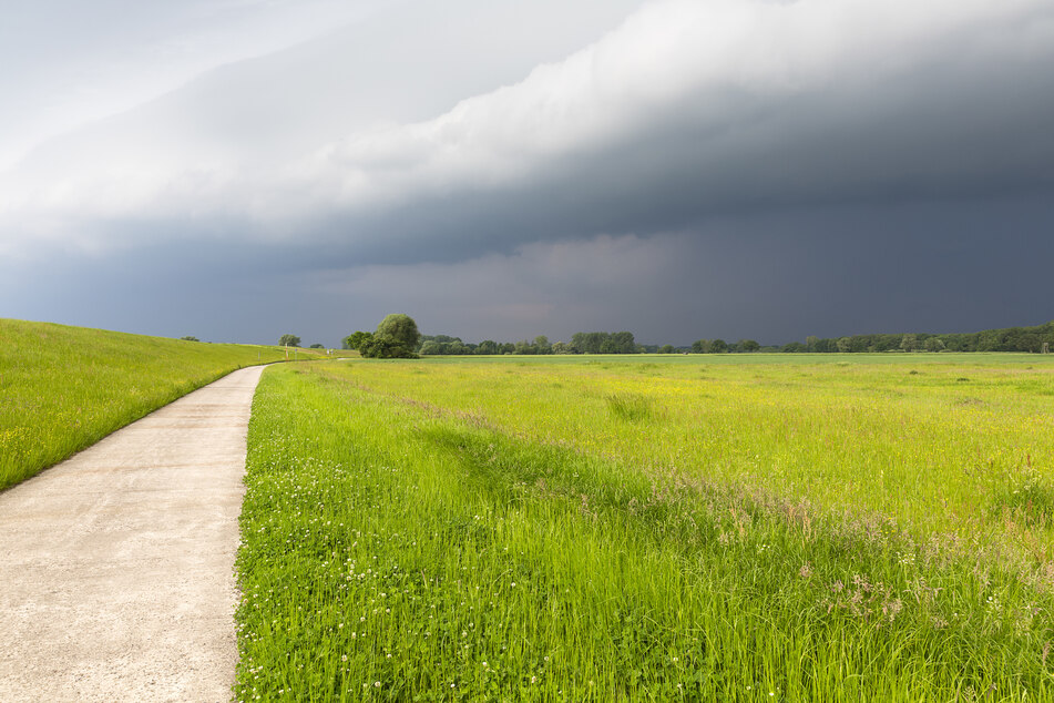Es werden Gewitter, Sturmböen und Starkregen erwartet. (Symbolbild)