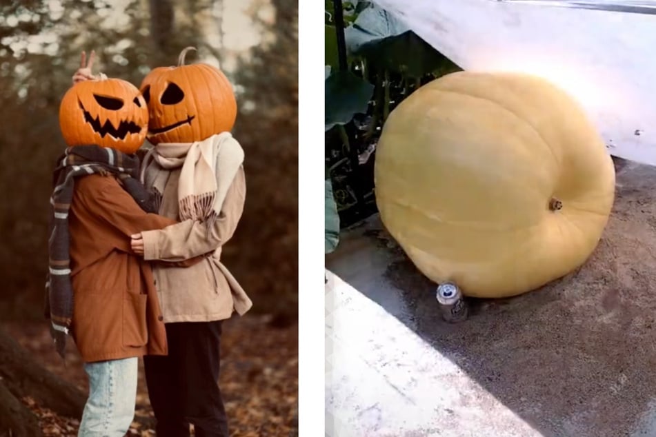 Gigantic pumpkin trends have taken over TikTok this spooky season