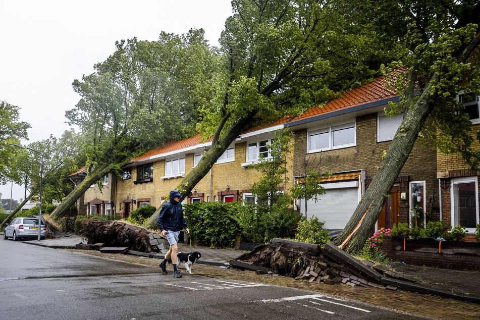 In den Niederlanden hielten viele Bäume den Sturmböen nicht stand.