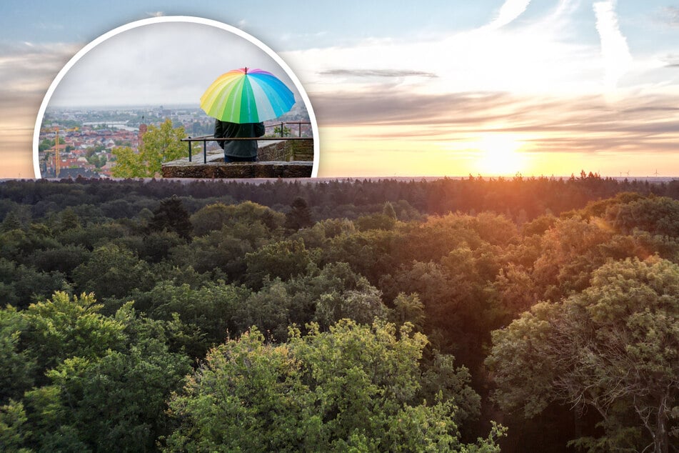Ein letztes Sommer-Hurra oder Herbstregen? So wird das Wetter in der neuen Woche