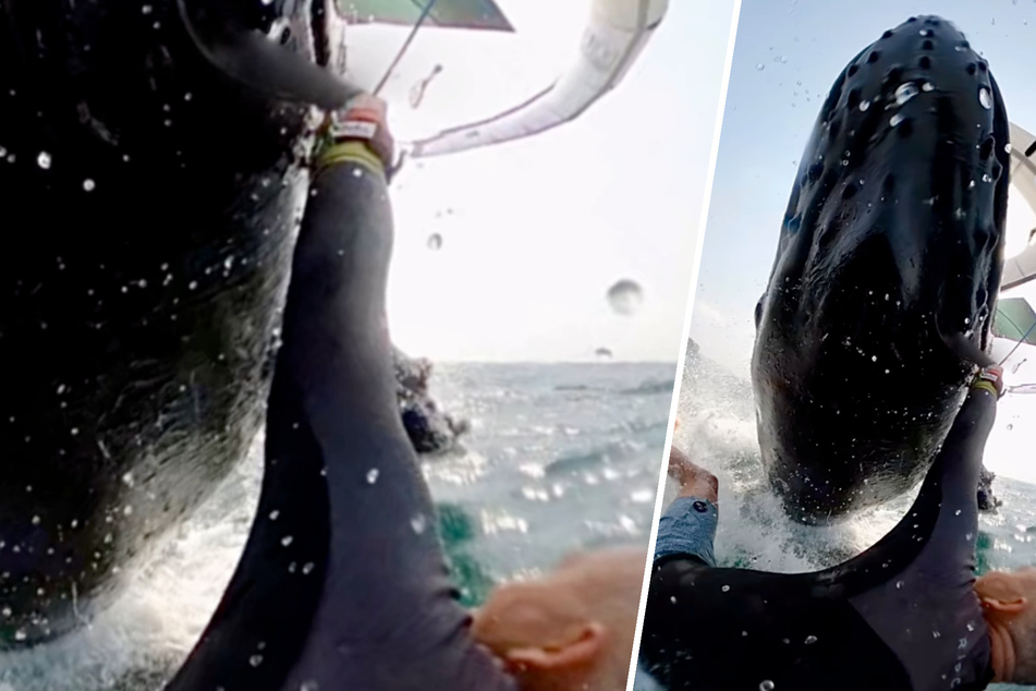 Buckelwal springt aus dem Wasser, haut Surfer um und zieht ihn in die Tiefe