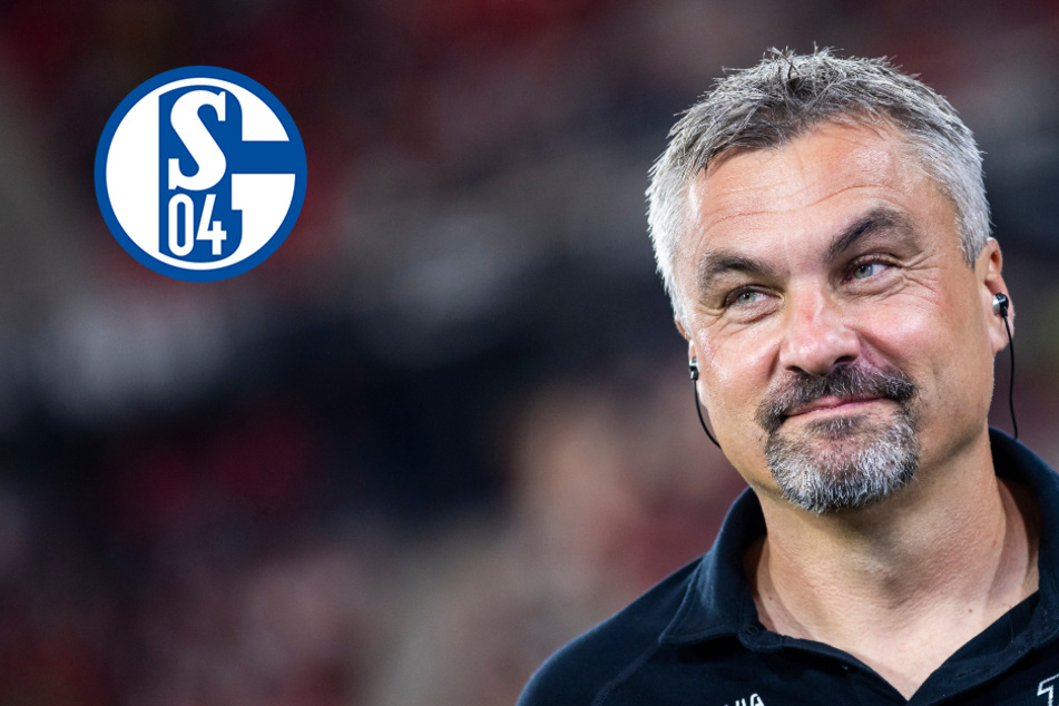 Einigung erzielt: Er soll der neue Trainer von Schalke 04 werden!
