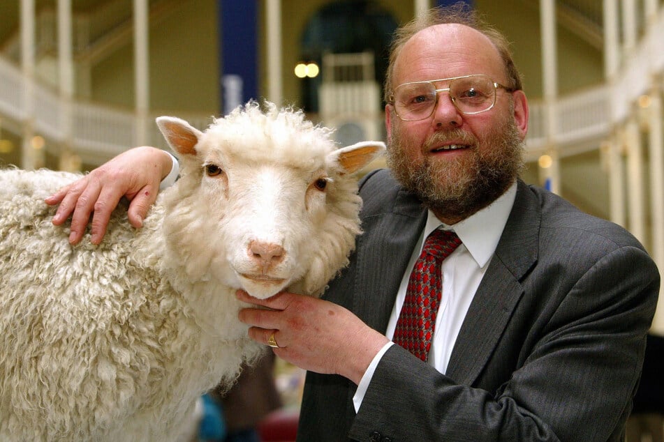 Ian Wilmut mit dem augestopften Schaf Dolly.