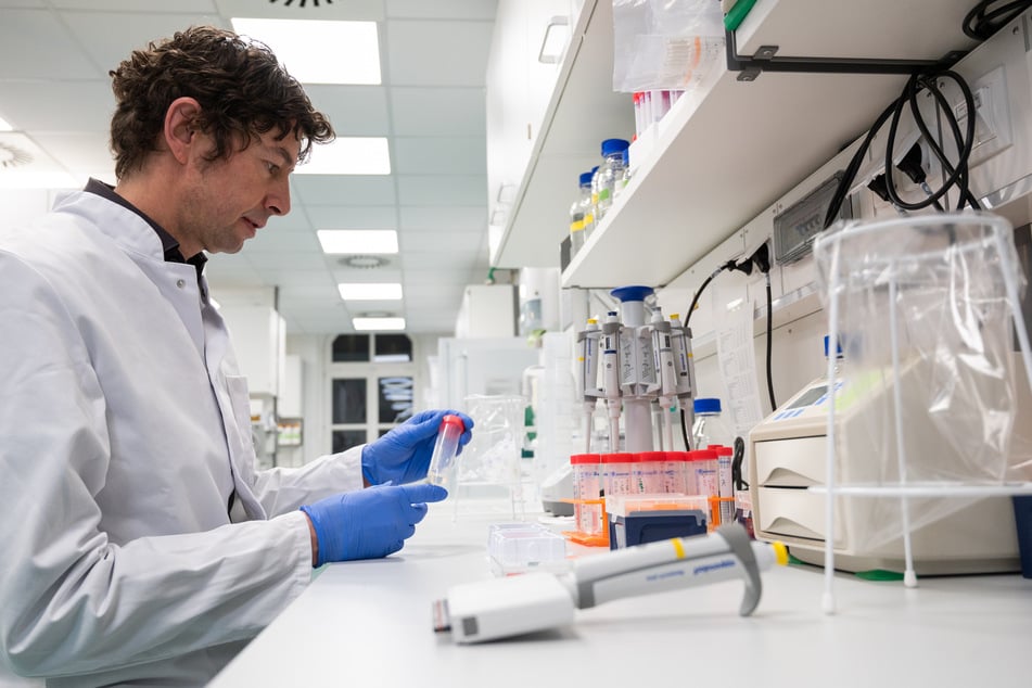 Drosten sieht sich Proben bei den Untersuchungen zum Coronavirus an.