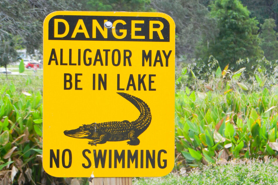 There were no-swimming signs along the disc golf course where the unidentified man died (stock image).