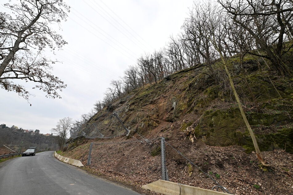Der Plauensche Grund ist ein beliebtes Naherholungsgebiet. Dass die Felsen gerne zum Klettern genutzt werden, wird im Umweltbericht kritisiert.