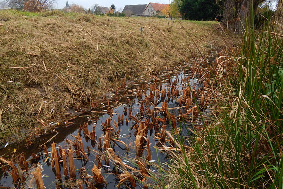 In Kleinpösna wurden sogleich auch noch Entwässerungsgräben bereinigt. Im Sommer waren sie wegen Mülls übergelaufen.