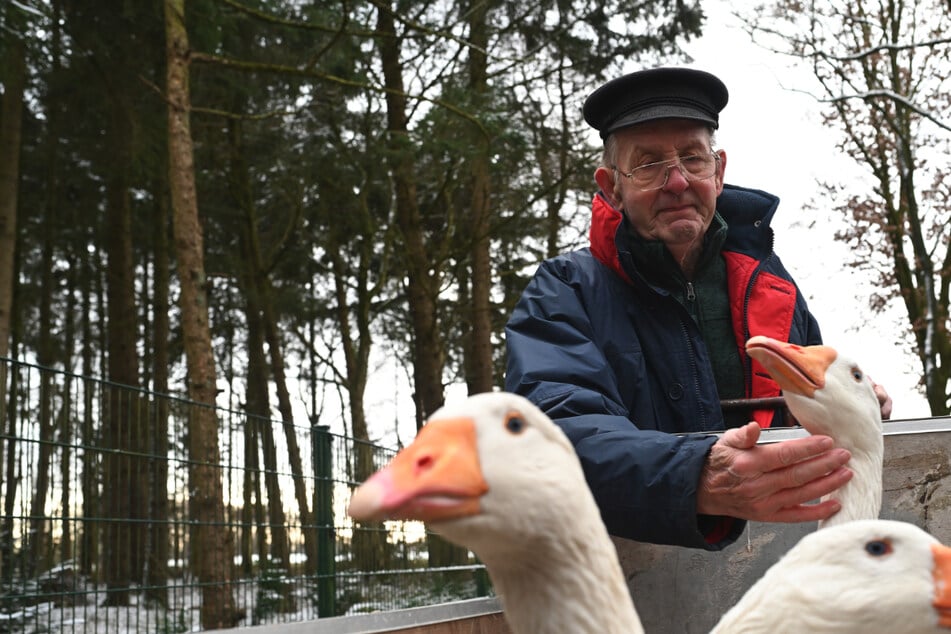75.000 Menschen unterstützten ihn: Senior gibt Kampf um geliebte Tiere unter Tränen auf