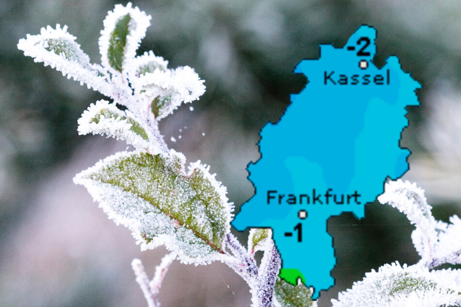 Der Dienst Wetteronline.de (Grafik) sagt für den Dienstag in Hessen Tiefsttemperaturen von -1 bis -2 Grad voraus, der Deutsche Wetterdienst (DWD) -2 bis -4 Grad.