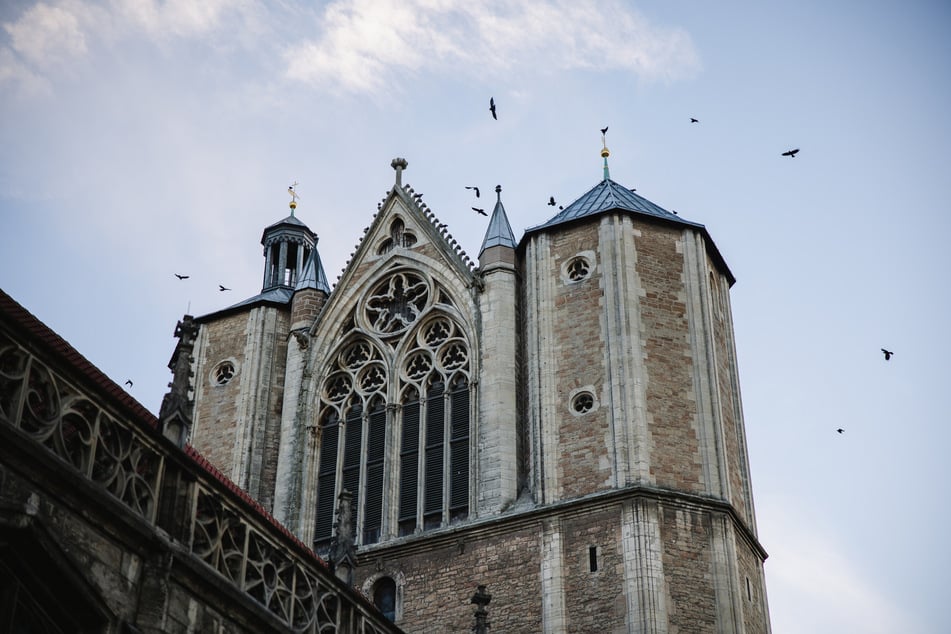 Im Streit um eine Leihmutterschaft hat sich der Kirchenmusiker erfolgreich gegen den Rauswurf durch die evangelische Landeskirche Braunschweig gewehrt.