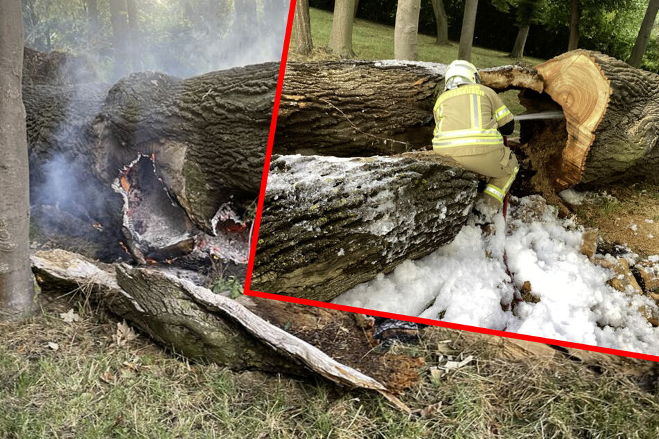 Baum brennt: Feuerwehr-Einsatz im Schlosspark