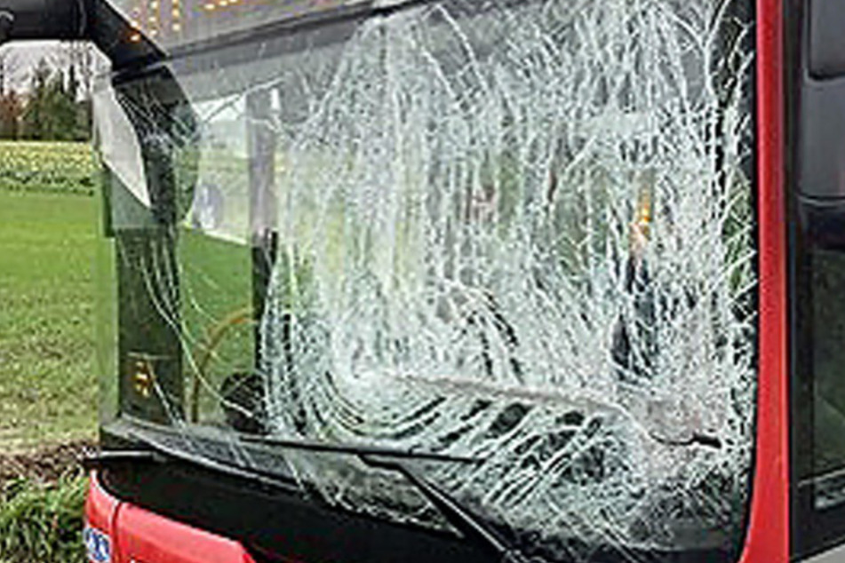 Lkw-Ladeklappe kracht während Fahrt in Bus-Scheibe: Fahrer von Glassplittern verletzt